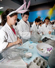 Australian Nuclear Science And Technology Organisation - Sunshine Coast Tourism 1