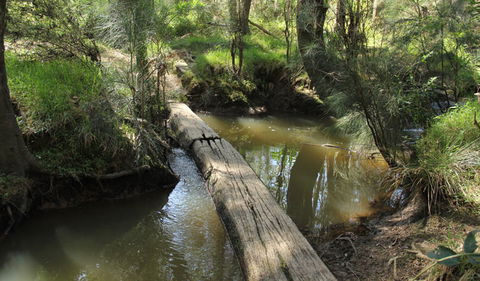 Second Ponds Creek Walk - Sunshine Coast Tourism 2