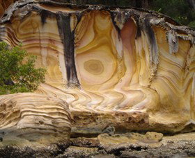 The Riverboat Postman - Sunshine Coast Tourism 1