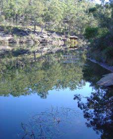 Freres Crossing Bushwalk - Sunshine Coast Tourism 2