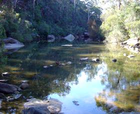 Freres Crossing Bushwalk - Sunshine Coast Tourism 1
