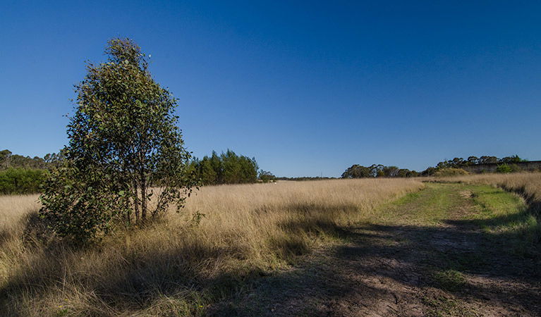 Oakville NSW Holiday Sunshine Coast