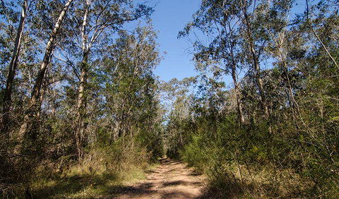 Scheyville Horse Riding Trails - Holiday Sunshine Coast 3