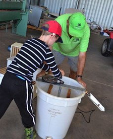 Canoelands Orchard - Holiday Sunshine Coast 2