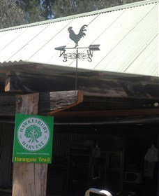 Canoelands Orchard - Holiday Sunshine Coast 3