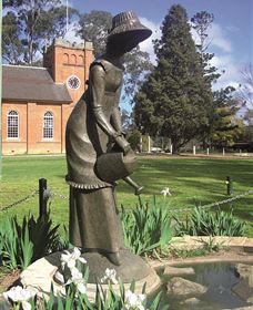 Mawson Park - Sunshine Coast Tourism 0