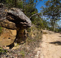 Canoelands Ridge walking track - Holiday Sunshine Coast