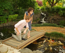 Japanese Gardens And Teahouse Campbelltown - Sunshine Coast Tourism 1