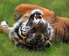 Symbio Wildlife Park - Sunshine Coast Tourism 6