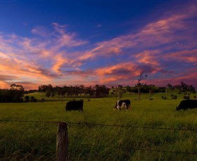 Made In Macarthur Food And Wine Tours - Holiday Sunshine Coast 0
