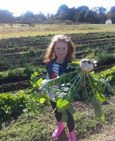 Made In Macarthur Food And Wine Tours - Holiday Sunshine Coast 2