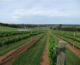 Made In Macarthur Food And Wine Tours - Holiday Sunshine Coast 1