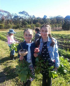 Made In Macarthur Food And Wine Tours - Holiday Sunshine Coast 5