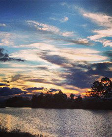 Governor Phillip Park - Holiday Sunshine Coast 0