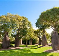 Mt Penang Gardens - Holiday Sunshine Coast