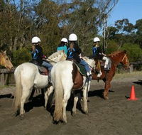Darkes Forest Riding Ranch - Sunshine Coast Tourism