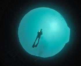 Ex-Hmas Adelaide Dive Site - Sunshine Coast Tourism 3