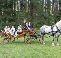 Classic Carriage Drives - Sunshine Coast Tourism