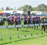 Morphettville Racecourse - Sunshine Coast Tourism