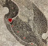 Marshall Arts - Sunshine Coast Tourism