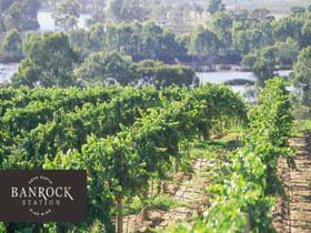 Banrock Station Wine And Wetland Centre - Sunshine Coast Tourism 0