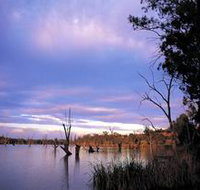 Loch Luna Game Reserve and Moorook Game Reserve - Sunshine Coast Tourism