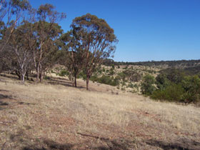 Onkaparinga River National Park - Holiday Sunshine Coast 0