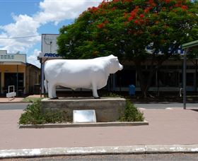 Aramac - The White Bull - Sunshine Coast Tourism 0
