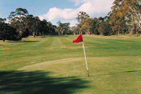 Echunga Golf Club Incorporated - Holiday Sunshine Coast 2