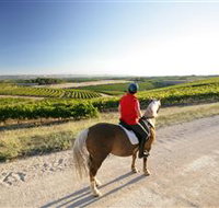 Kidman Trail - Holiday Sunshine Coast