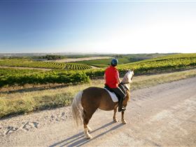 Kidman Trail - Holiday Sunshine Coast 0