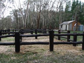 Kidman Trail - Holiday Sunshine Coast 2