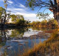 Murray River National Park - Sunshine Coast Tourism