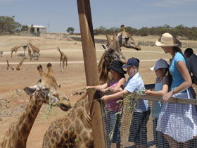 Monarto South SA Holiday Sunshine Coast