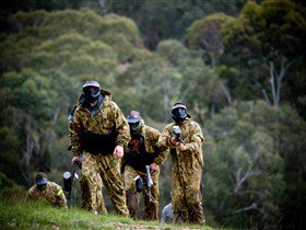 Paintball Sports - Sunshine Coast Tourism 0