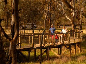 Loxton's Drives, Walks And Trails - Sunshine Coast Tourism 0