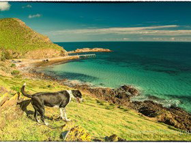 Second Valley Beach - Sunshine Coast Tourism 1