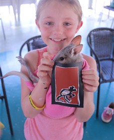 Top Didj Cultural Experience & Art Gallery - Sunshine Coast Tourism 2