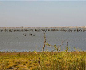 Anabranch South NSW Holiday Sunshine Coast