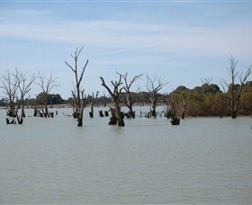 Lake Victoria - Sunshine Coast Tourism 3