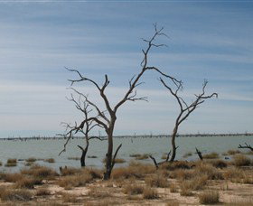 Lake Victoria - Sunshine Coast Tourism 6