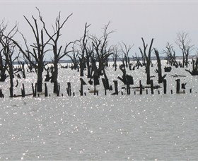 Lake Victoria - Sunshine Coast Tourism 5