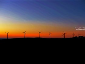 Cape Jervis SA Sunshine Coast Tourism