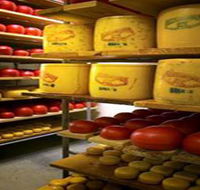 Alexandrina Cheese Company - Sunshine Coast Tourism