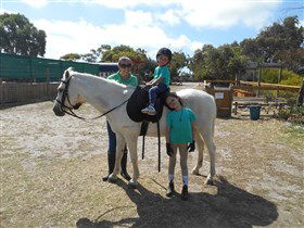 Animal Farm Goolwa - Sunshine Coast Tourism 2