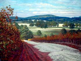 Ocean Art Gallery - Holiday Sunshine Coast 2