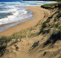 Newland Head Conservation Park - Sunshine Coast Tourism