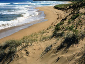 Newland Head Conservation Park - Sunshine Coast Tourism 0