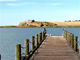 Naturi SA Sunshine Coast Tourism