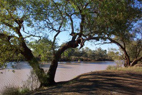 Charleville - Bakers Bend Warrego River Fishing Spot - Holiday Sunshine Coast 1